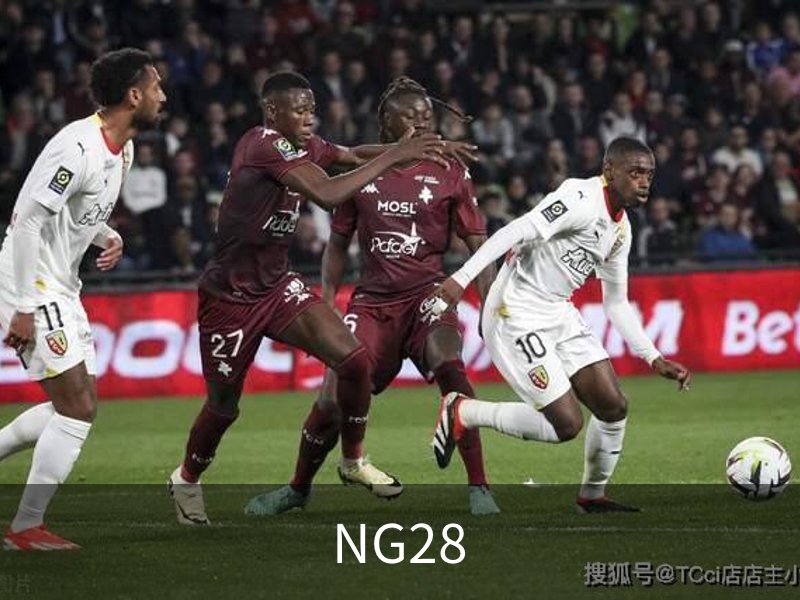 NG28概况